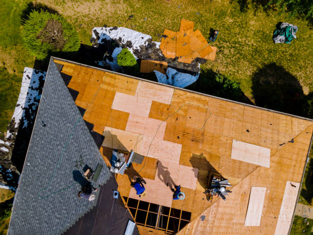 Best Roof Maintenance Services  in Parkwood, CA